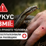 укус змії
