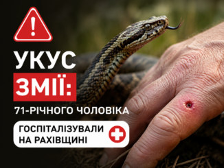 укус змії