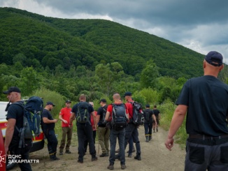 На Мукачівщині третю добу шукають грибника, який зник у лісі