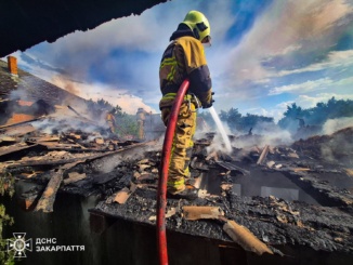 На Берегівщині блискавка, ймовірно, спричинила пожежу