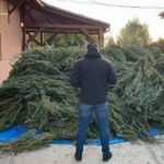 На Закарпатті наркодилера засудили до 9 років ув’язнення: у нього вилучили 148 кг канабісу