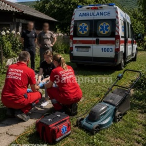 16-річна дівчина отримала електротравму під час косіння трави на Хустщині