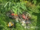 У селі Великий Раковець Хустського району 27 липня сталася смертельна дорожньо-транспортна пригода за участю мотоцикла та вантажівки. Унаслідок аварії загинув 15-річний місцевий житель.