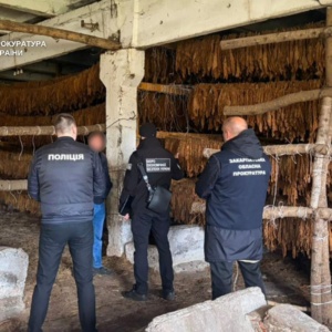 На Закарпатті судитимуть депутата та трьох спільників за незаконний обіг тютюну