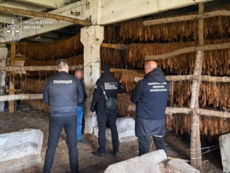 На Закарпатті судитимуть депутата та трьох спільників за незаконний обіг тютюну