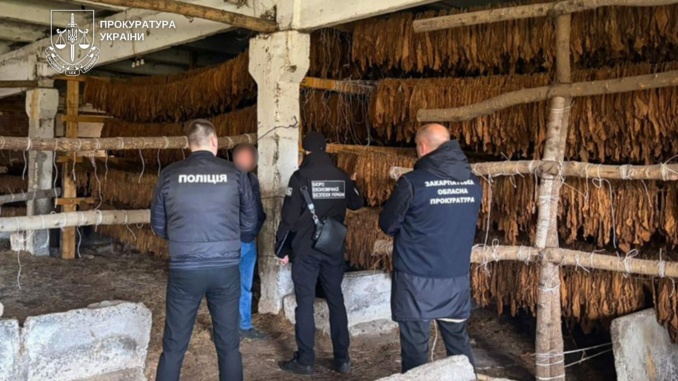 На Закарпатті судитимуть депутата та трьох спільників за незаконний обіг тютюну