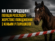 На Ужгородщині поліція розслідує випадок жорстокого поводження з кіньми.