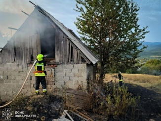 На Ужгородщині сухостій спричинив пожежу