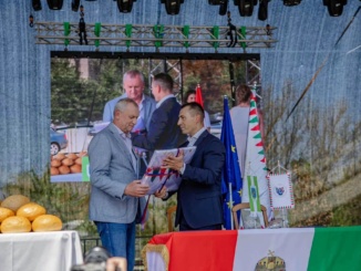 Берегівська міська рада