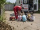 На Берегівщині рій бджіл атакував дітей: семеро постраждалих