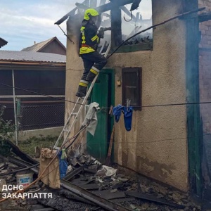 На Закарпатті селяни самотужки кинулися гасити пожежу, щоб врятувати будинок