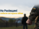 На Рахівщині побили ветерана війни