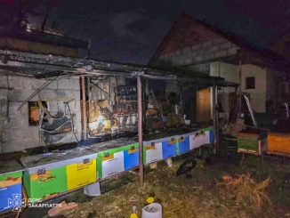 У Мукачеві вночі горіла споруда з інструментами для бджільництва