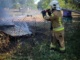 На Тячівщині пожежа знищила 16 вуликів із бджолами