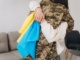У Мукачеві восьмеро ВПО отримають житлові ваучери по 2 млн грн