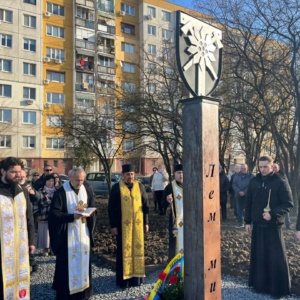 В Ужгороді просять зберегти зелену зону та створити Сквер Героїв